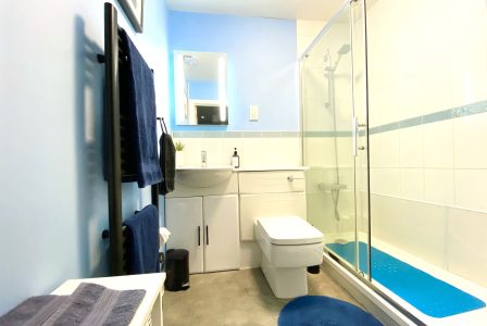 Bard's Nest Crucible Apartment bathroom 1